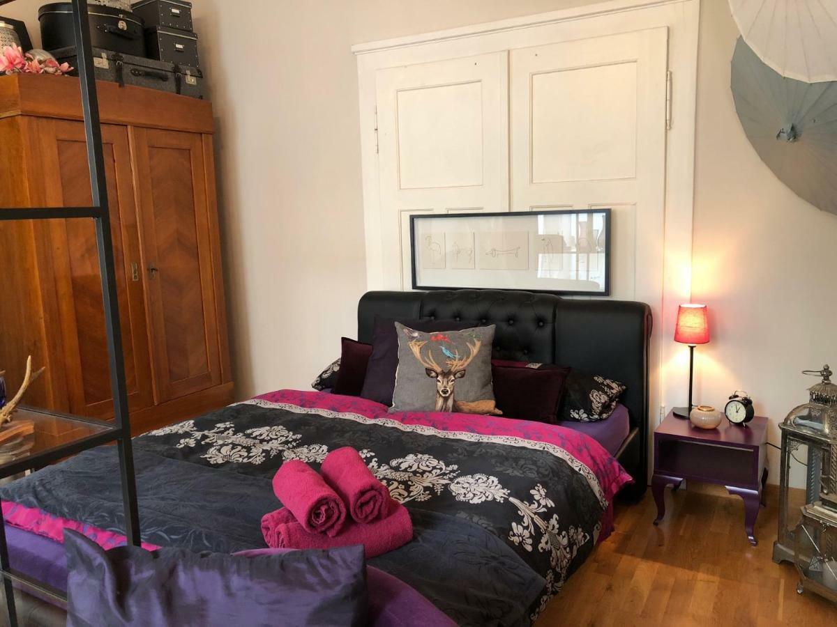 Pension Villa Luise Offenburg Zewnętrze zdjęcie